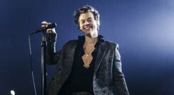 Fan Gets Dating Advice From Harry Styles Mid Concert