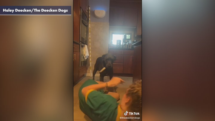 TikToker Feigns Choke and Drops to the Floor But Her Dog’s Reaction Took an Unexpected Turn