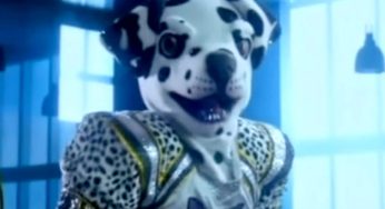 Who is Dalmatian in the TV Show ” The Masked Singer”?