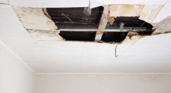 Couple Living In a nightmare flat Infested With Rats And collapsing ceiling Should be knocked down! Ireland