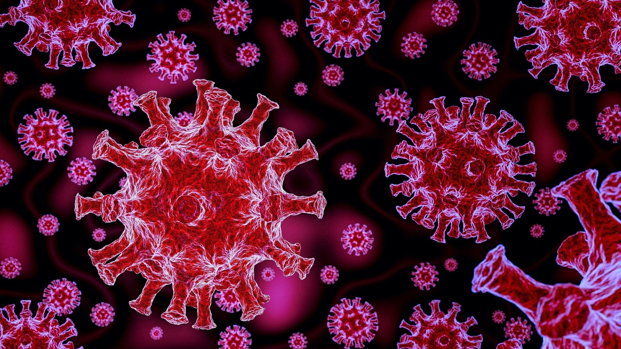 C.1.2 COVID-19 variant Complete facts about the new Virus!