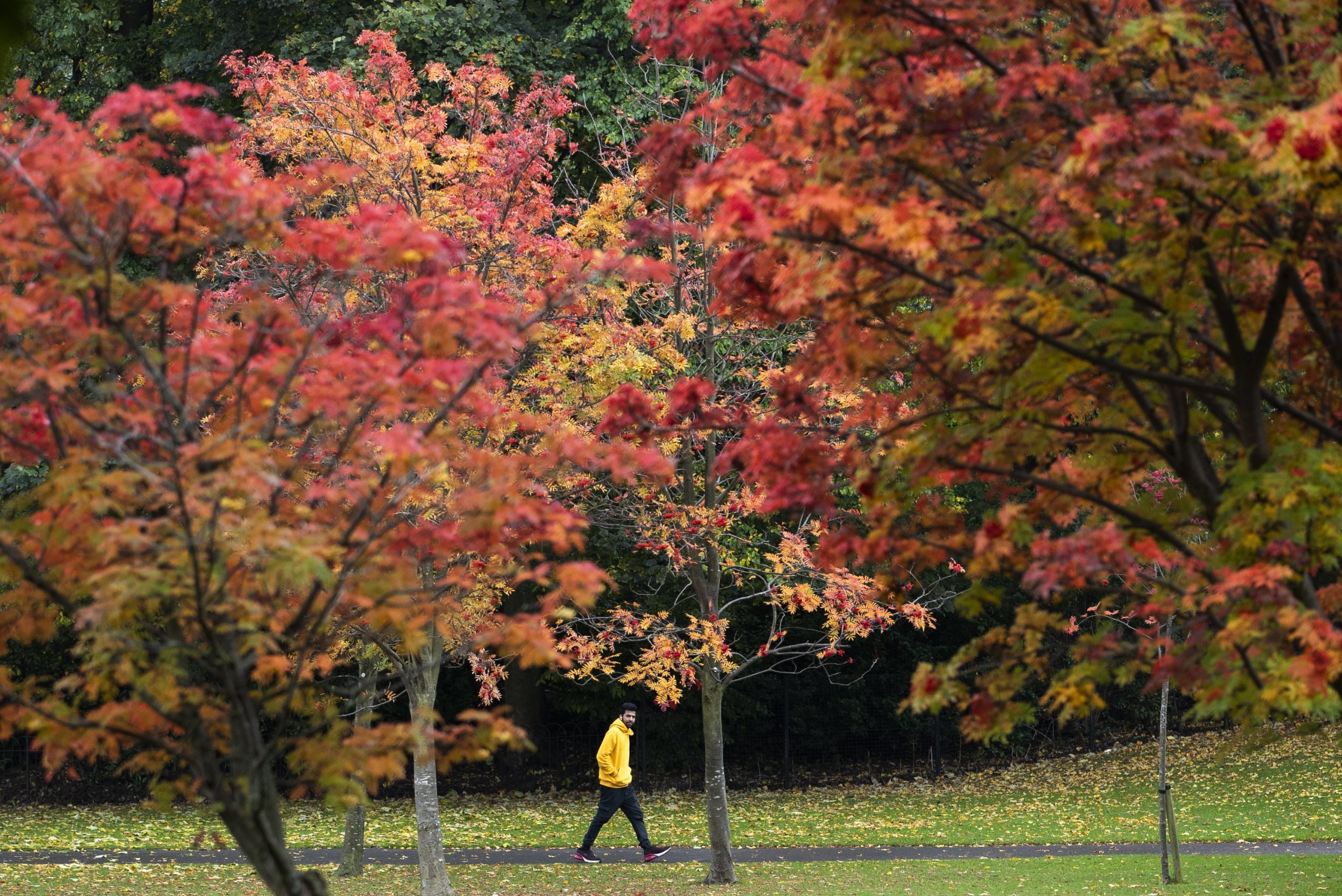 National Trust predicts good year for autumn colour