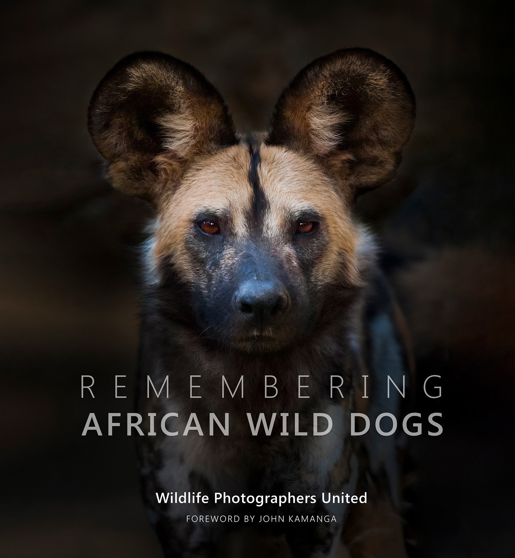 Stunning images of African wild dogs feature in new book about the species