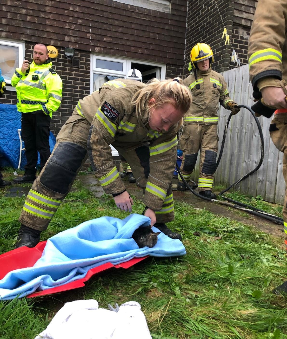 ‘Lucky’ cat rescued by firefighters from burning house