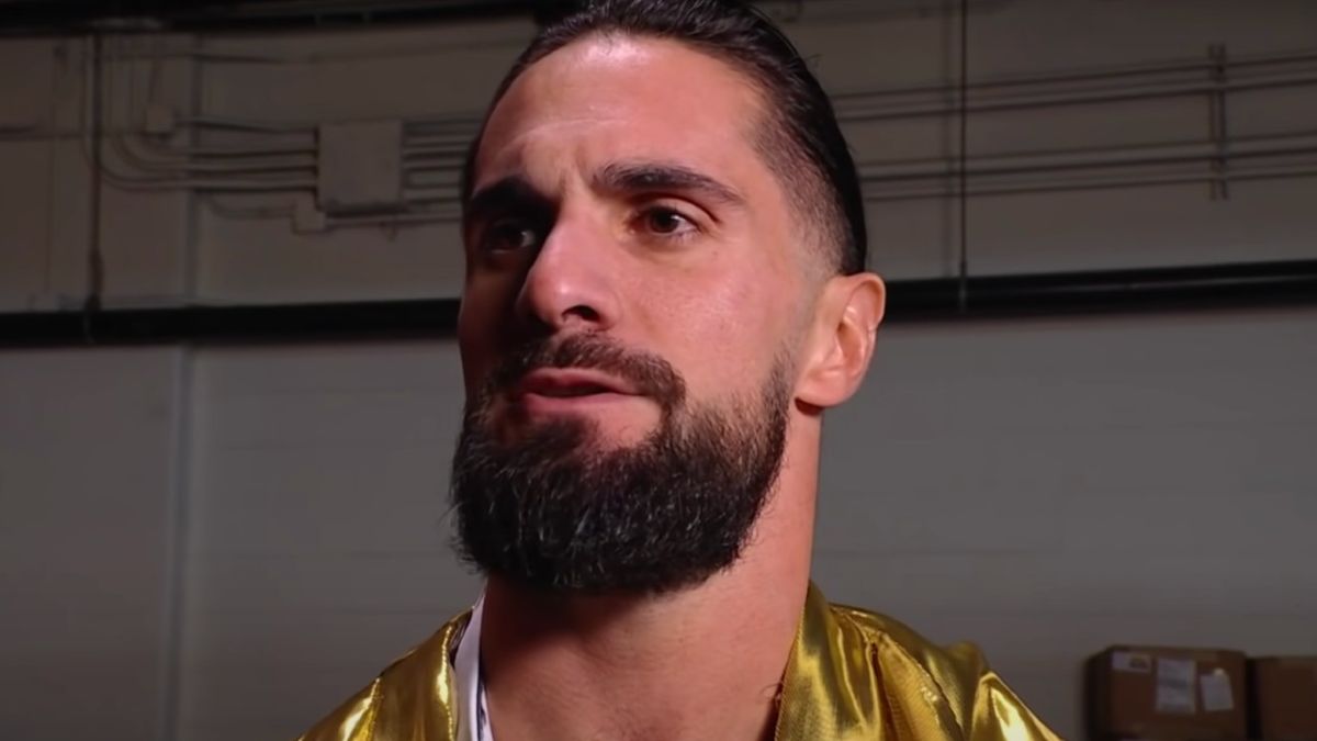 WWE Fan Explains Why He Attacked Seth Rollins On Monday Night Raw, And It’s A Lot
