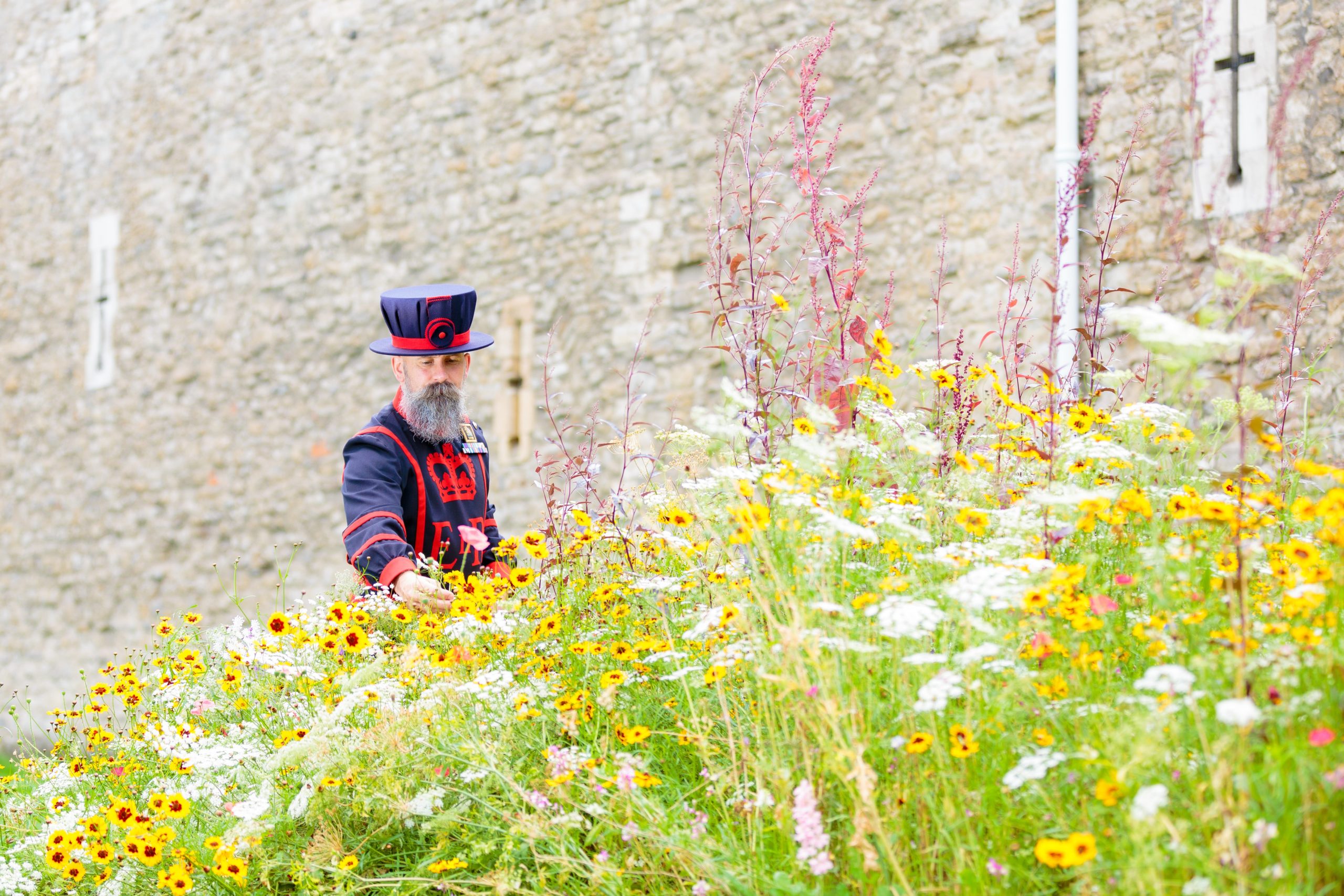 ‘Superbloom’ field of flowers to surround Tower of London for Platinum Jubilee