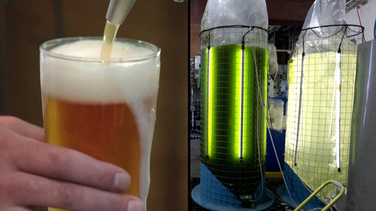Brewery Makes Green Algae Beer to Creatively Combat Climate Change