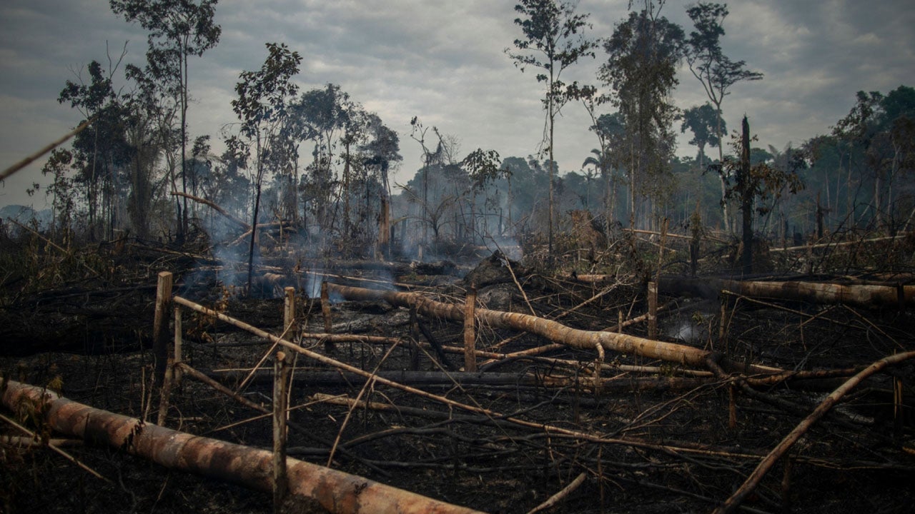 Deforestation in Brazil’s Amazon at Highest Level in 15 Years