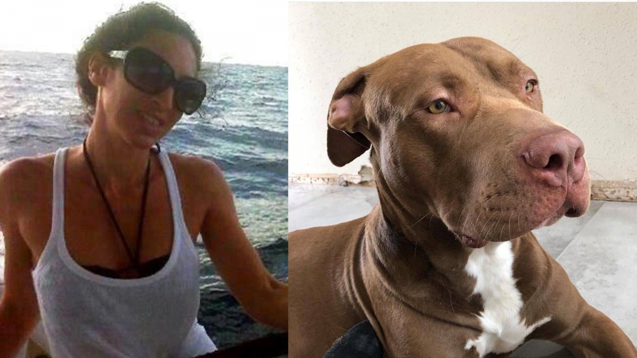 Police claim that Houston dog-lover could have been killed by her own dogs.