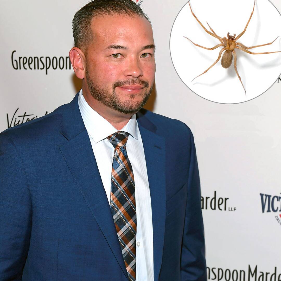 Jon Gosselin is able to recover from venomous spider bite