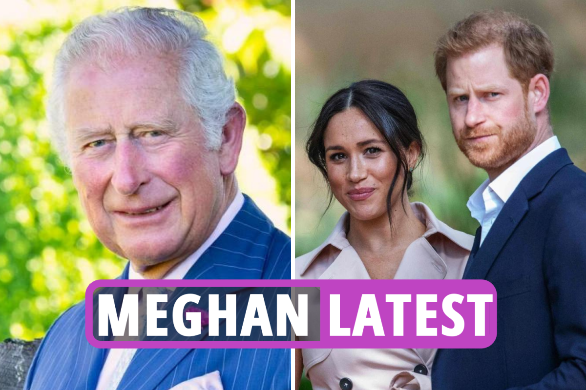 The latest news about Meghan Markle: ‘Prince Charles speculated over the skin tone Prince Harry & Meg’s children’s claims’ new book