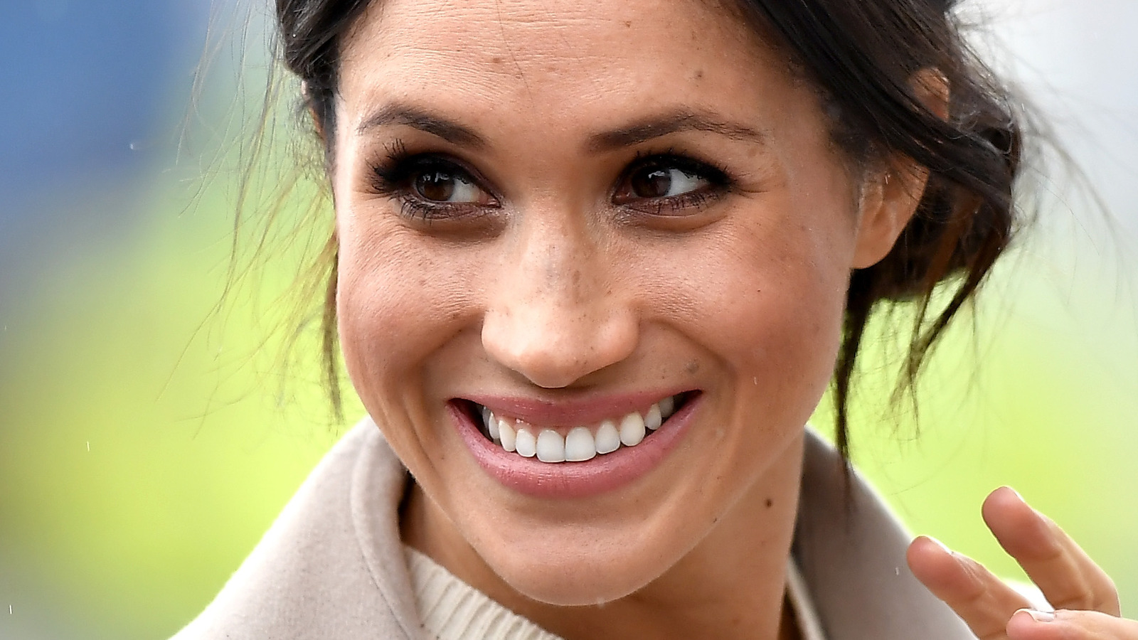 The Ellen Interview With Meghan Markle is Not a Good Idea.