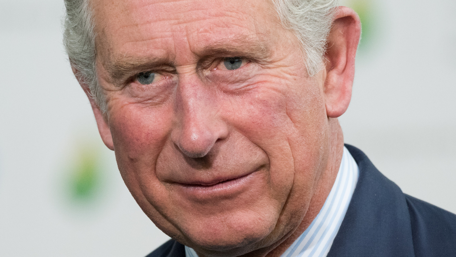 Prince Charles Wants This for Camilla’s Future