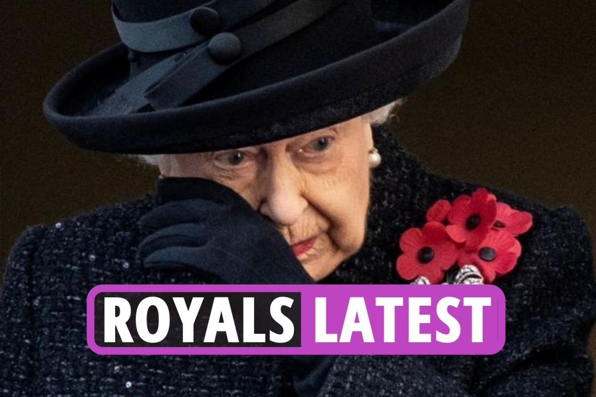 Queen Elizabeth news: Her Majesty 95 tells of her grief and anxiety during pandemic. Senior Royal replaces her at Synod