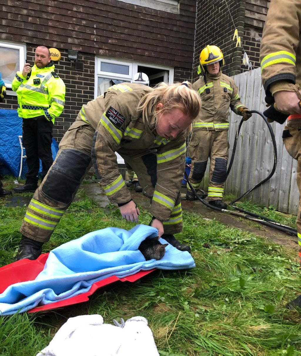 ‘Lucky’ cat rescued by firefighters from burning house