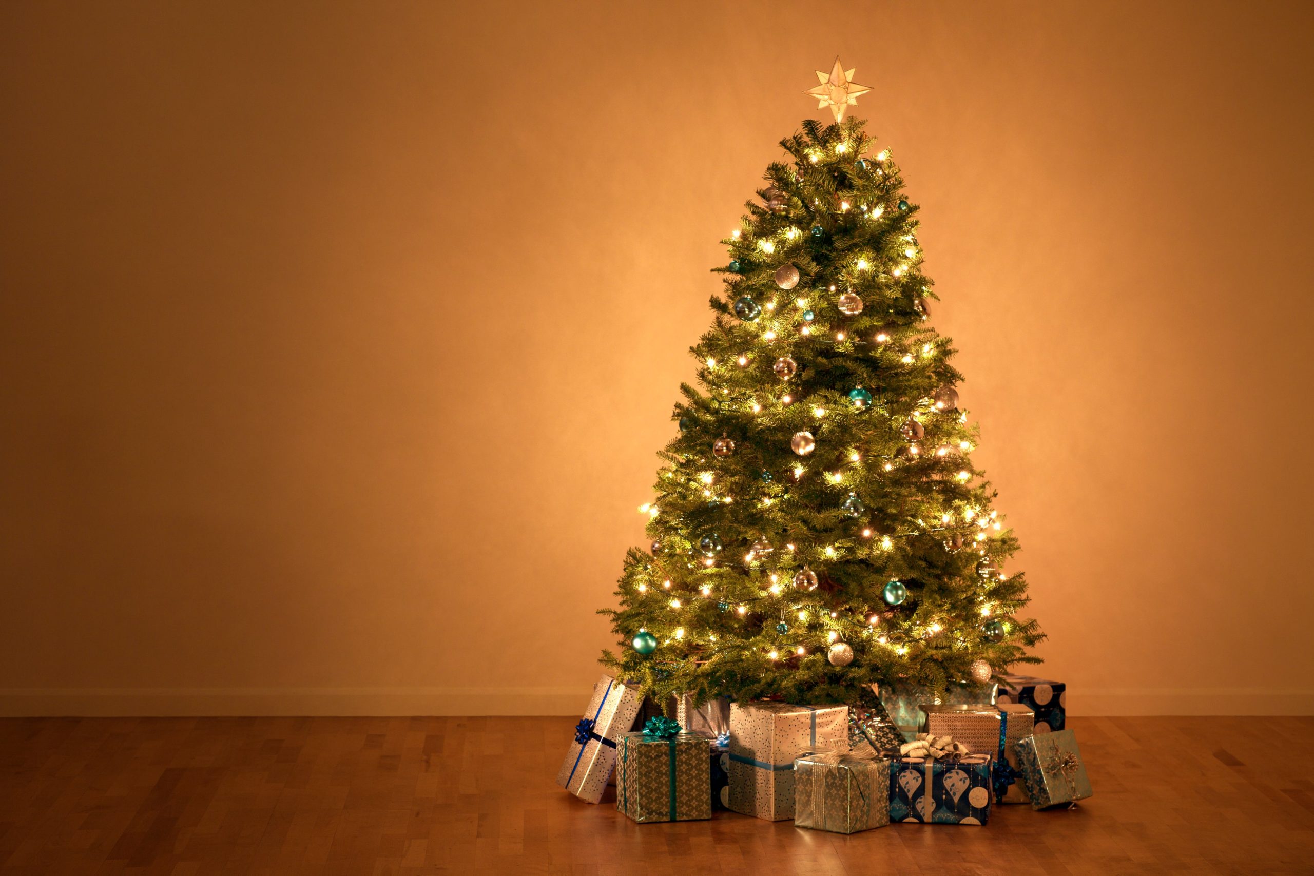 8 pre-lit Christmas trees that will brighten up holiday decor