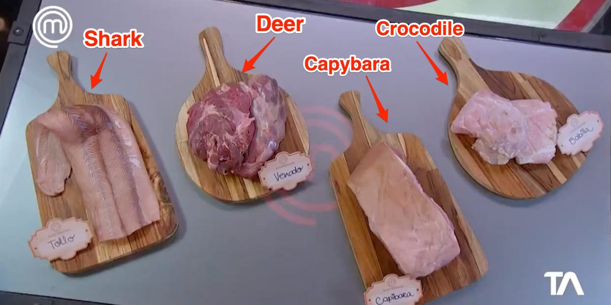 Animal Rights Group Says: “MasterChef Ecuador” Used Endangered Meat