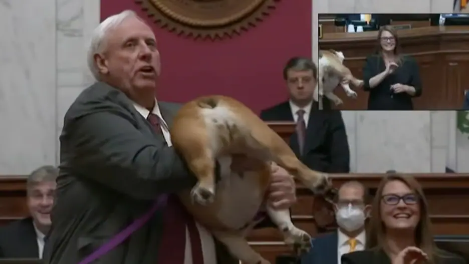 Watch West Virginia Gov. Tell Bette Midler to Kiss His Dog’s ‘Heinie’ After Insulting State (Video)