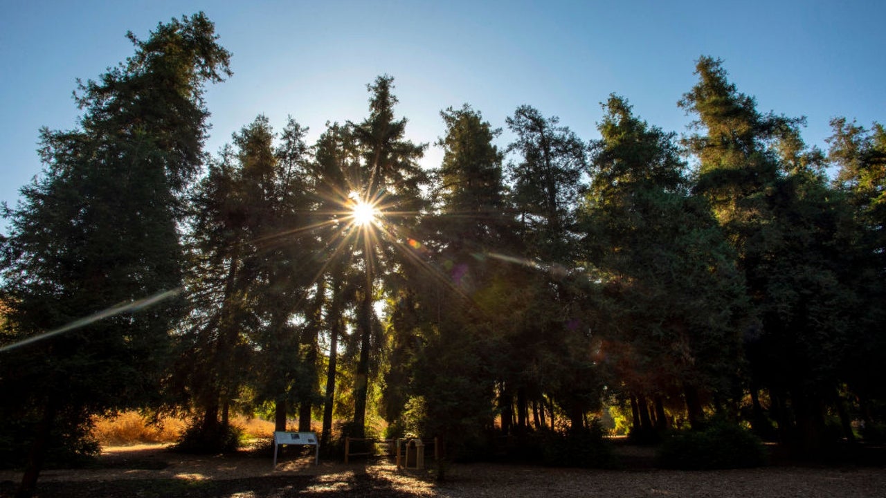 523 acres of California Redwood Forest donated to Native Tribes