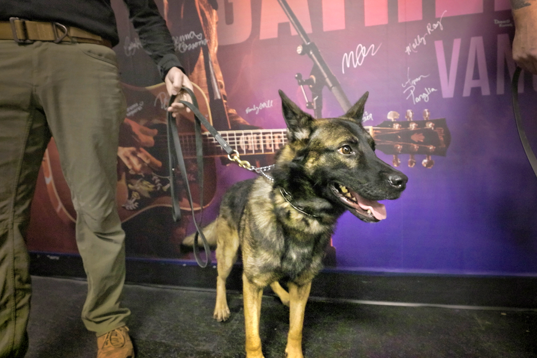 Covid Sniffing Canines Help Eric Church and Metallica Keep on Tour
