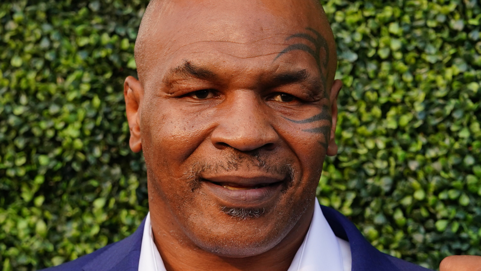 Here's What Mike Tyson Really Is Worth