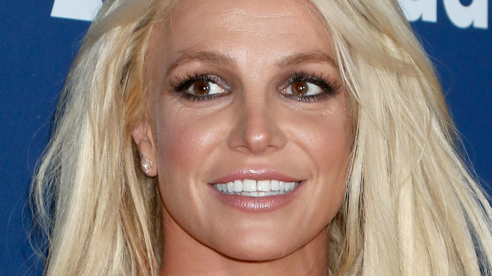 Britney Spears’ Fiance and Her Sons: How Do They Get Along?