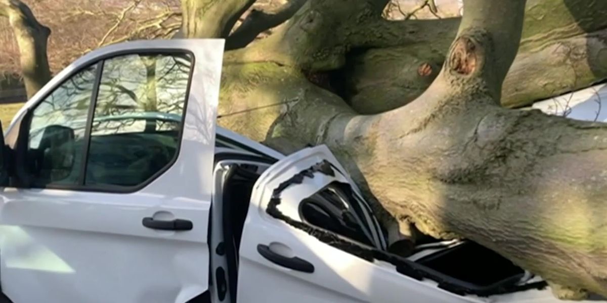 Storm Malik batters UK: Man pulls himself from van crushed by fallen tree