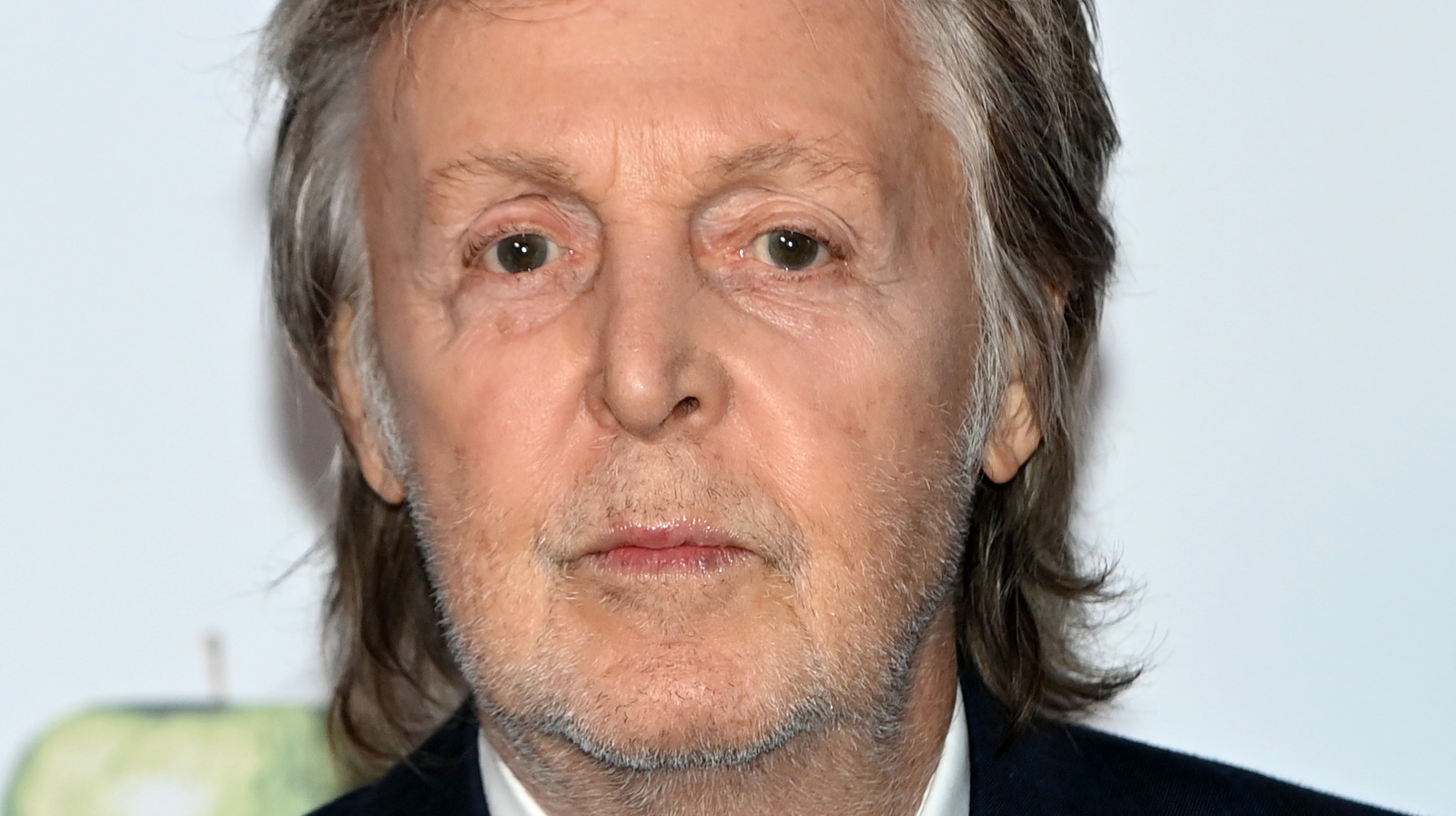 Paul McCartney’s son is essentially his twin