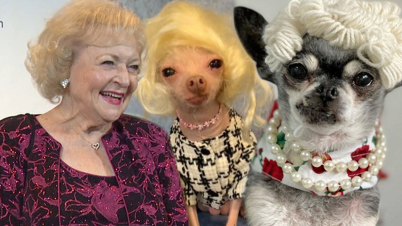 Shelter dogs dress up as Betty White in celebration of Betty’s 100th birthday