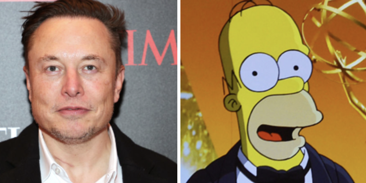Who said it? Elon Musk or Homer Simpson.