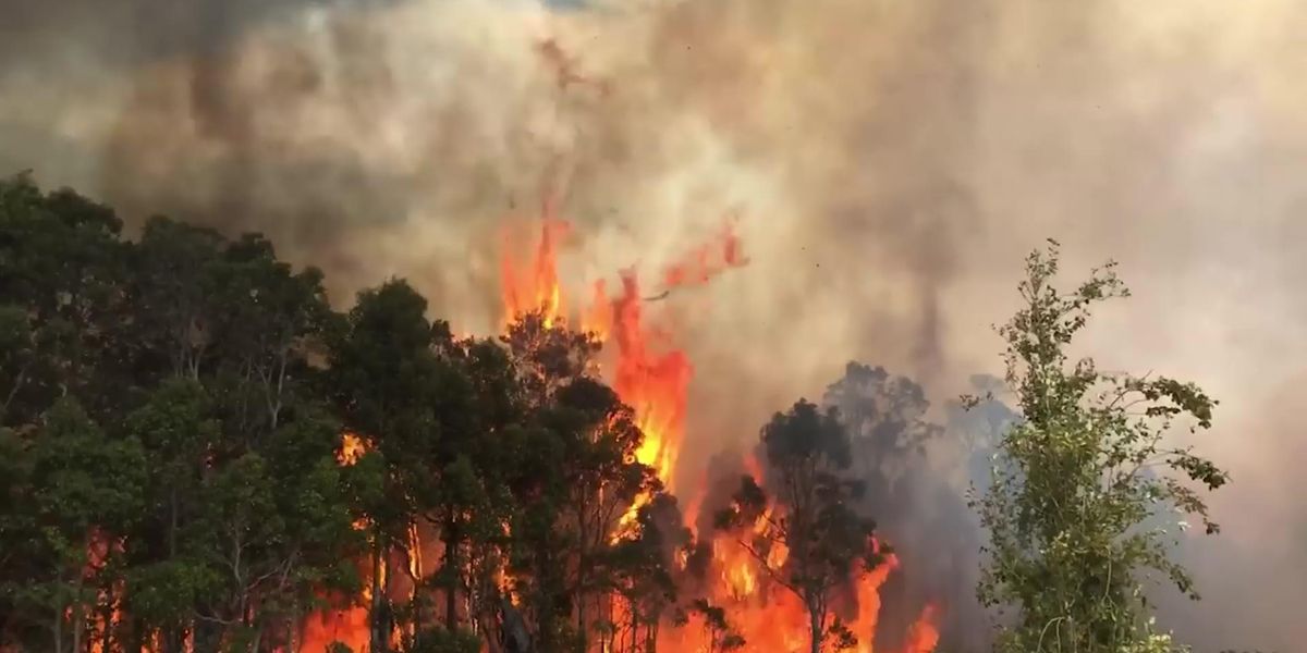 Aggressive bushfire tears through Western Australian forest near tourist spot