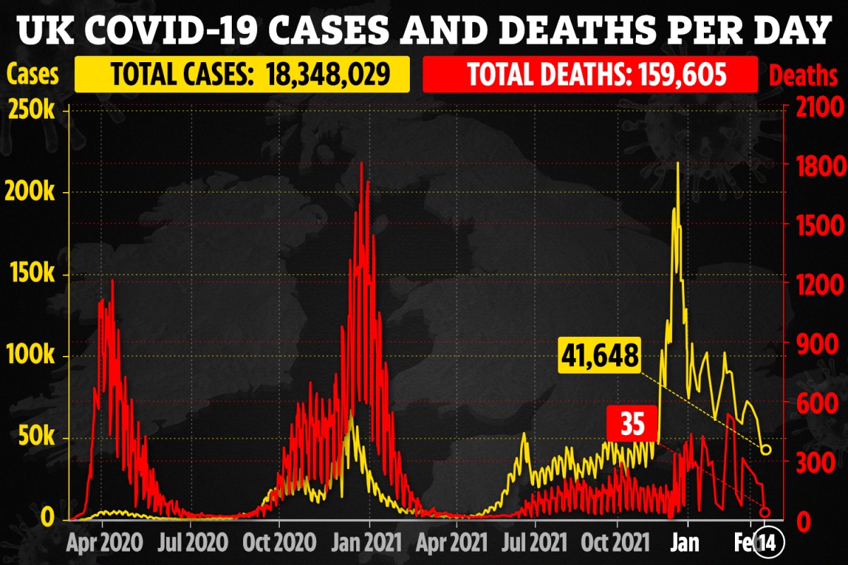 Daily Covid cases plummet 58% in a month as deaths continue to fall