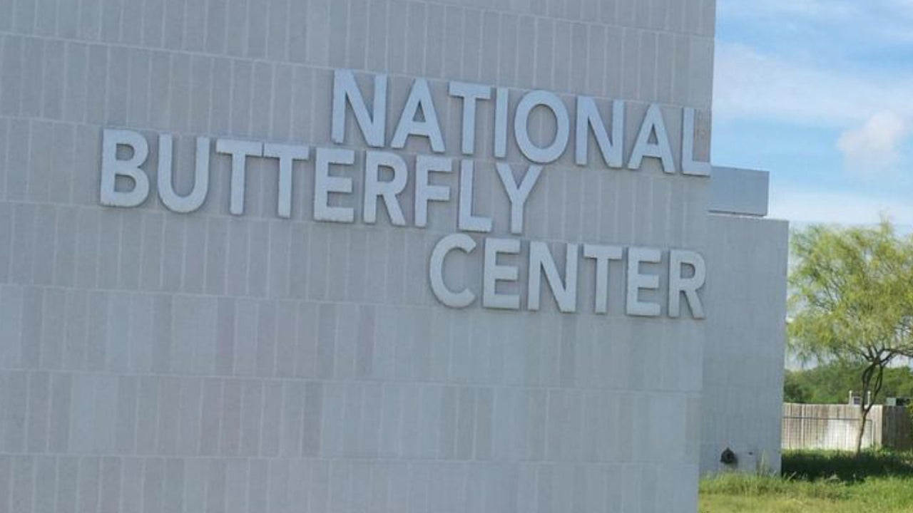 National Butterfly Center in Texas Closes Indefinitely Due to Threats From Conspiracy Theorists