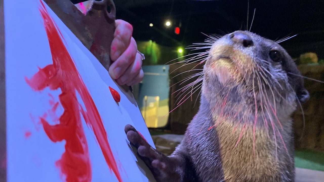 Otters at a New Hampshire Aquarium Are Hand-Painting Valentines for Visitors