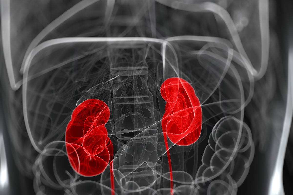 The 12 signs of kidney cancer you must never ignore