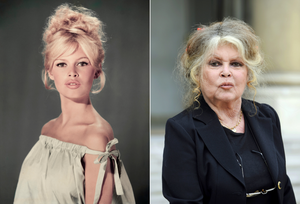 What Happened To Brigitte Bardot? Where The Former Fashion Icon Is Now
