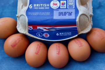 There are NO free range eggs in shops from next week - here's why