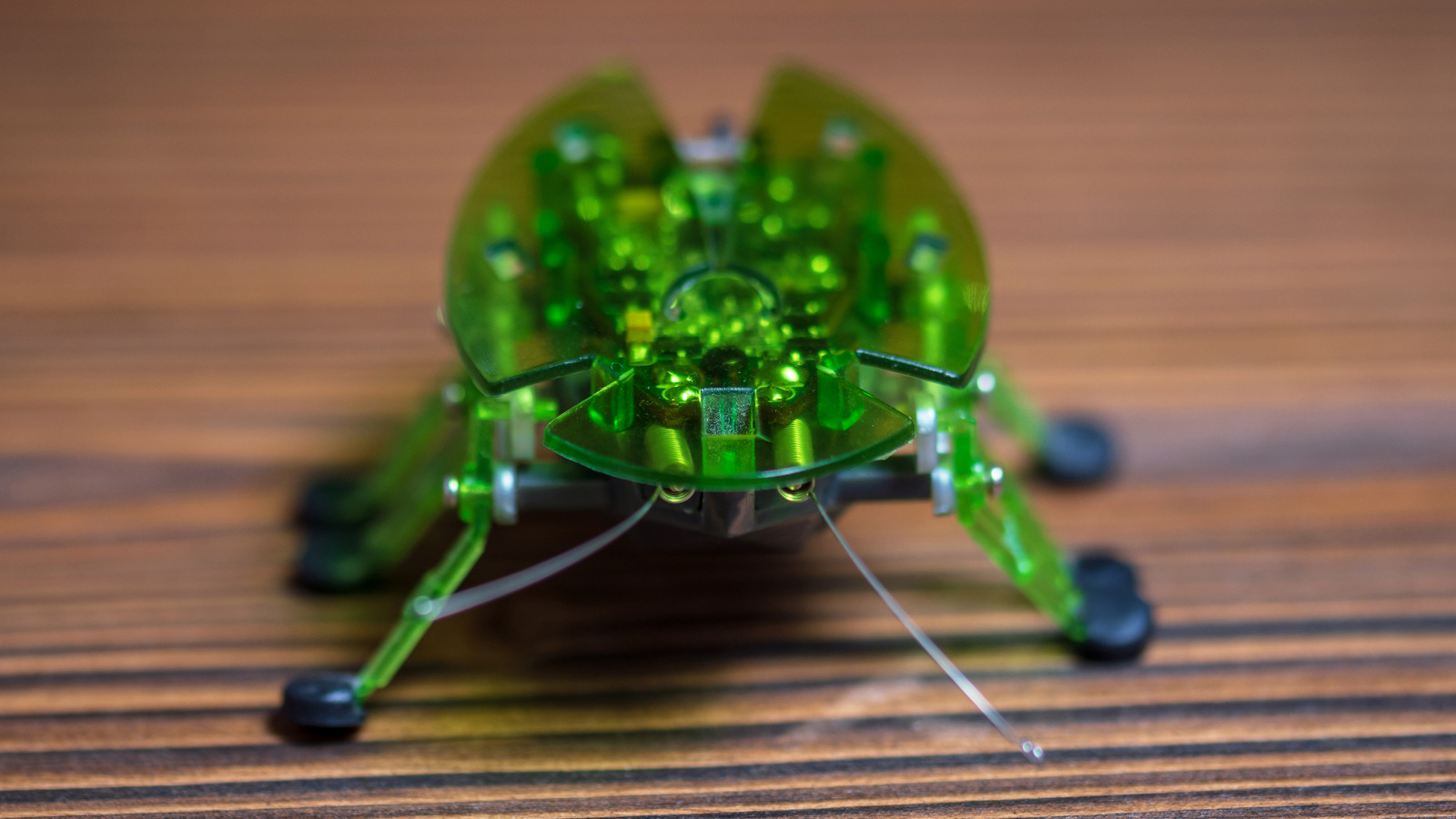 Are Robotic bugs the next big breakthrough in medical technology?
