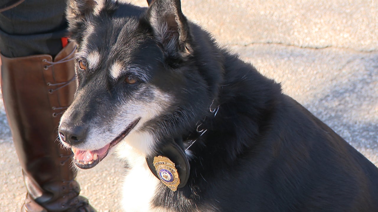 Cop Adopts Dog from Shelter Worker, Turns K-9 Hero in Saving Her From Death