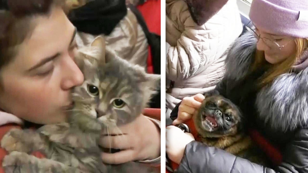 Some Ukrainians Fleeing War Are Making Sure Their Pets Can Come With Them, Too
