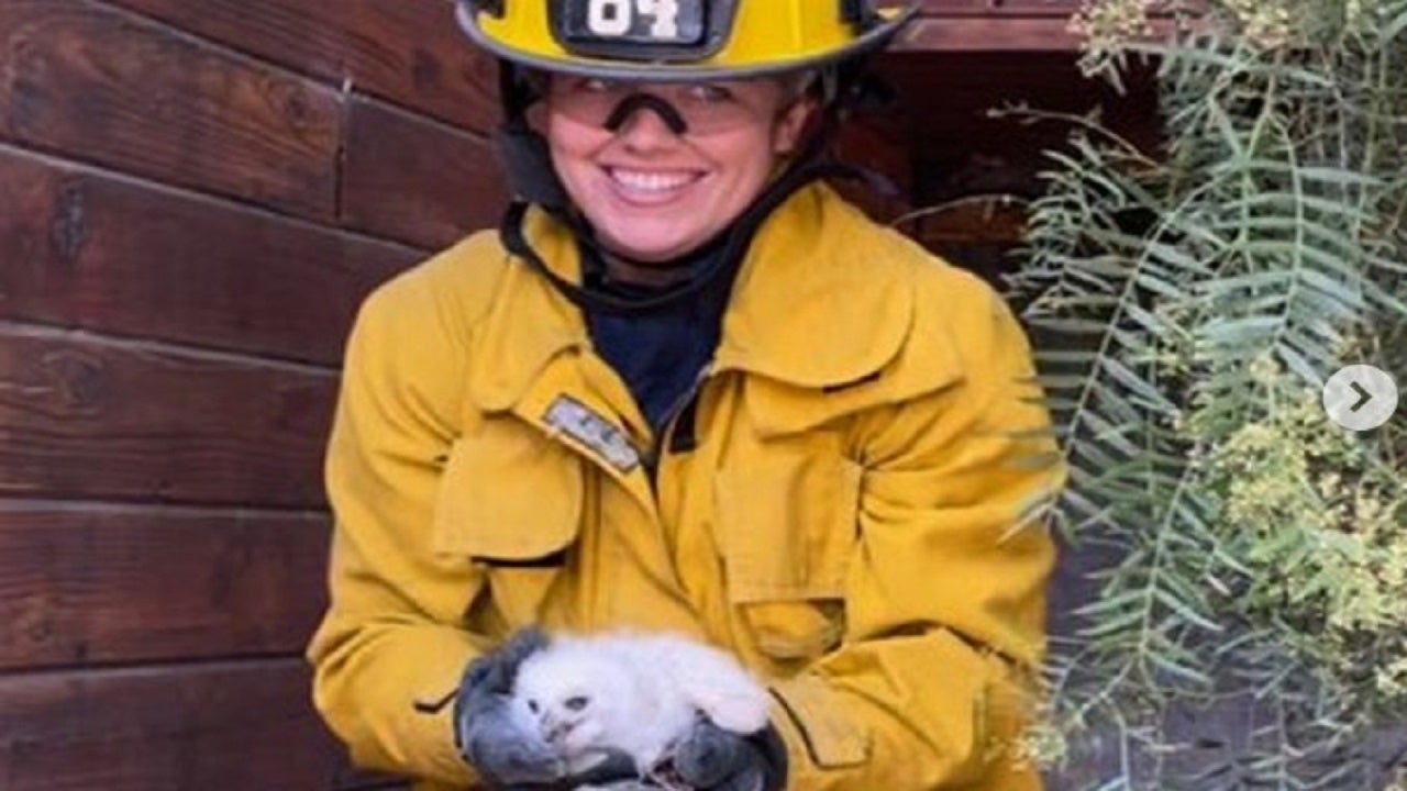 Los Angeles Fire Fighters Rescue Baby Owl That Fell From Nest