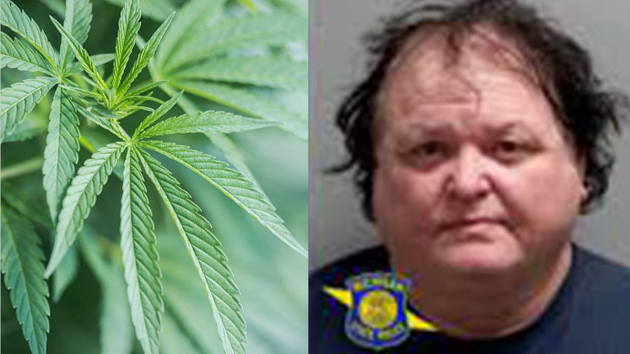 Michigan Man Arrested After Allegedly Stealing Marijuana Plants Off Someone’s Property, Police
