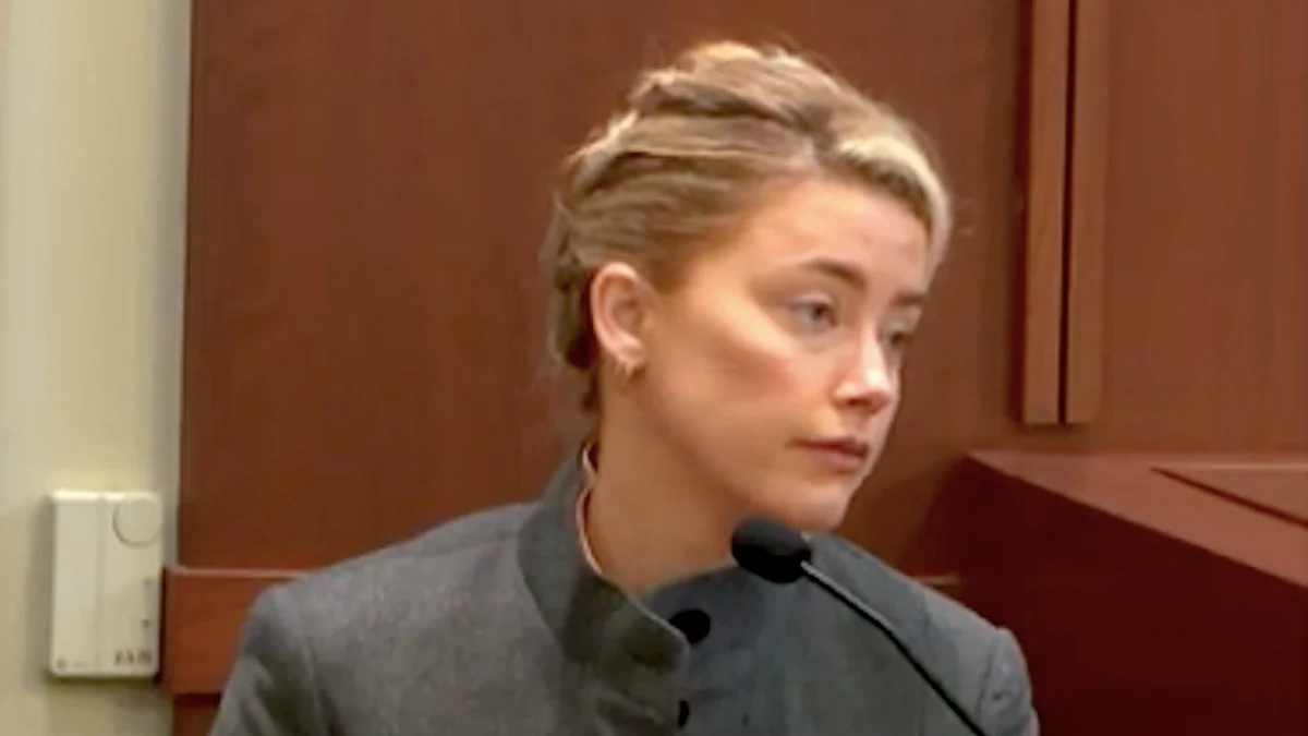 Amber Heard Blames the Dog for Poop Bed Incident
