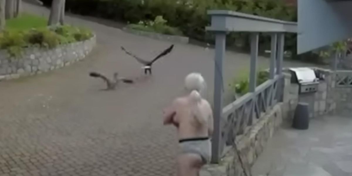Half-naked, breastfeeding mom saves her pet goose from an eagle attack