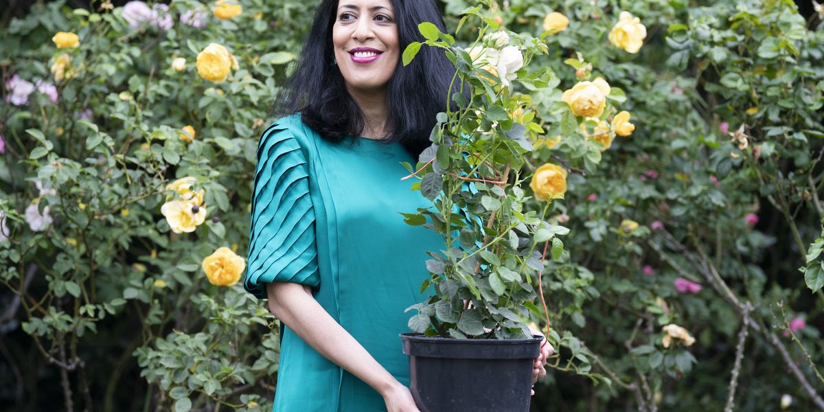 Queen hails rose named for 18th-century black gardener as symbol of community