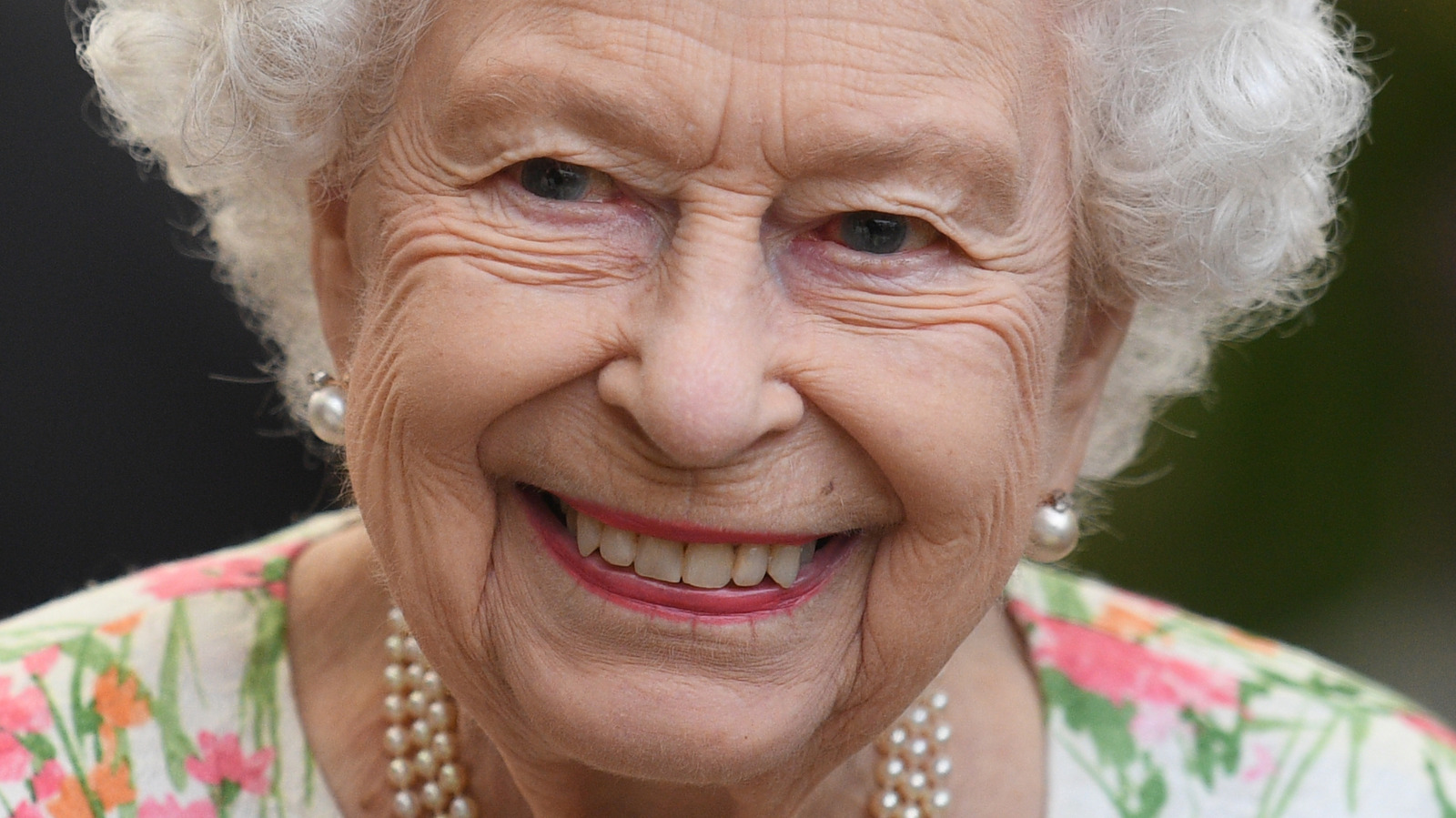 Royal Experts Make Bold Prediction About The Queen’s Future Engagements