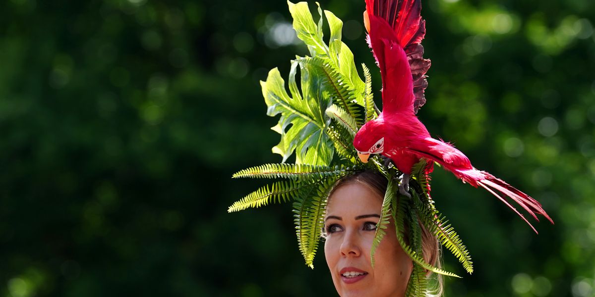 Flamboyant racegoers show off creative hats as sun shines on Royal Ascot