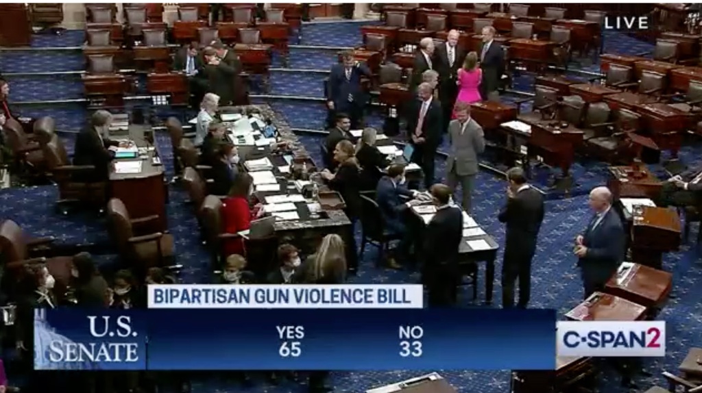 Senate Passes Bipartisan Gun Violence Bill