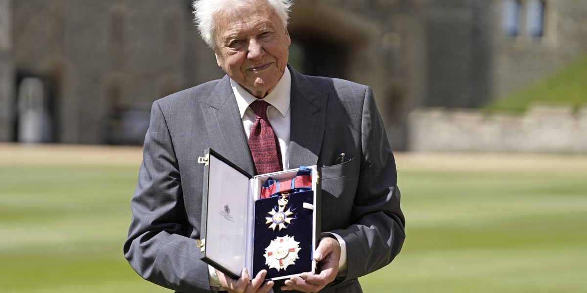 Sir David Attenborough beams as he collects high honour from Prince of Wales