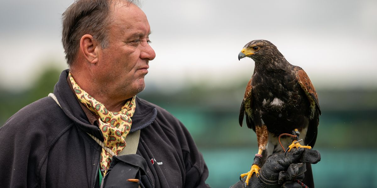 Wimbledon hawk trainer was told to ‘get a proper job’ in early days